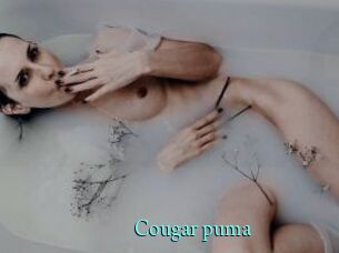 Cougar_puma