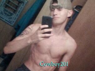 Cowboy201