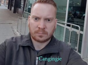 Cangingie