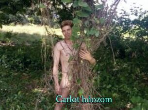 Carlot_hdozom