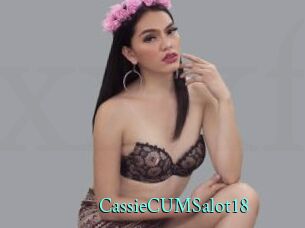 CassieCUMSalot18