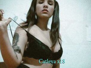 Catleya_x18