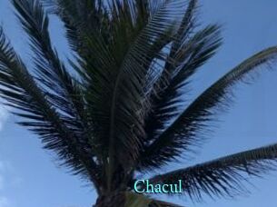 Chacul