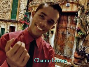 Chamo_brown