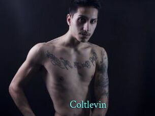 Coltlevin