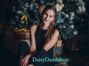 DaisyDandelion