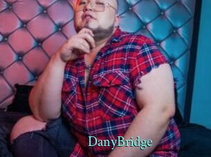 DanyBridge