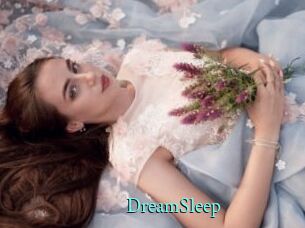 DreamSleep