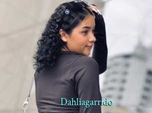 Dahliagarrido