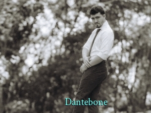 Dantebone