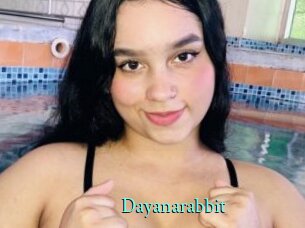 Dayanarabbit