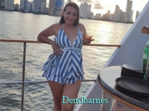 Demibarnes