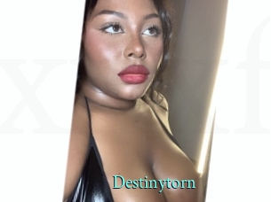 Destinytorn