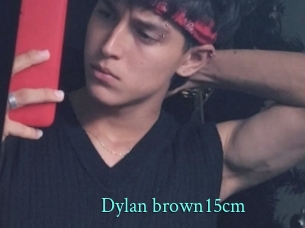 Dylan_brown15cm