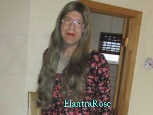 Elantra_Rose