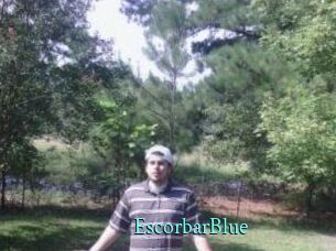 Escorbar_Blue