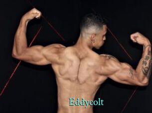 Eddycolt