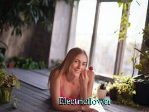 Electricflower