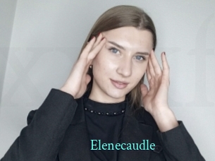 Elenecaudle