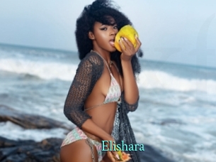 Elishara