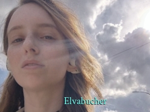 Elvabucher