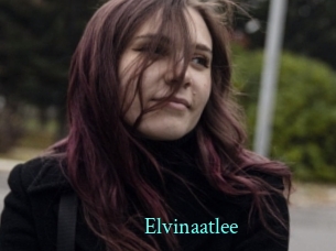 Elvinaatlee