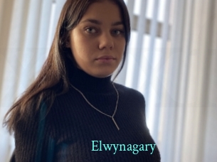 Elwynagary