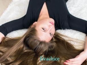 Evachice