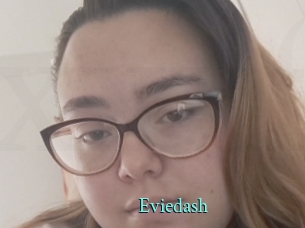 Eviedash