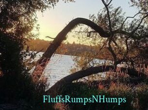 FluffsRumpsNHumps