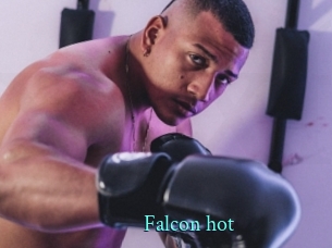 Falcon_hot