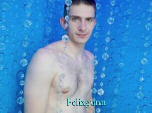 Felixgunn