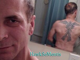 HawkSeMentis xxx Fantasy Land