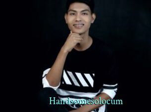 Handsomesolocum