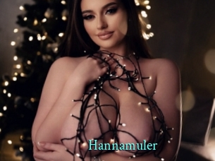 Hannamuler