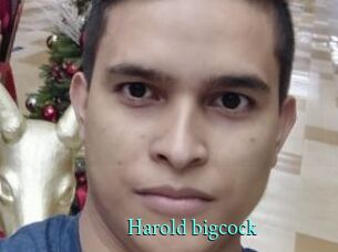 Harold_bigcock