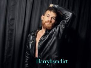 Harrybsmdirt