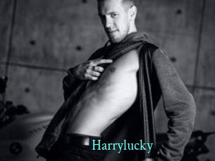 Harrylucky