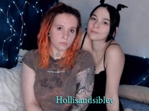 Hollisandsibley