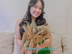 Honeymendoza