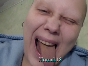 Hornak18