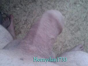 Hornydan1733