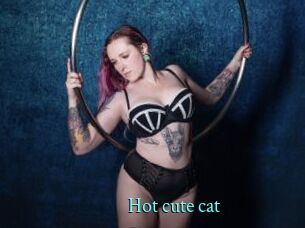 Hot_cute_cat