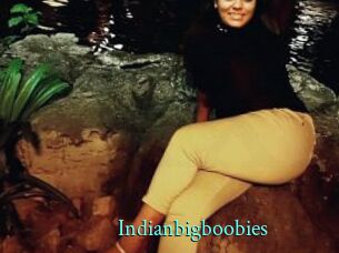 Indianbigboobies