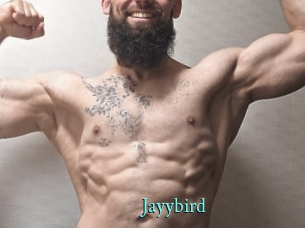 Jayybird