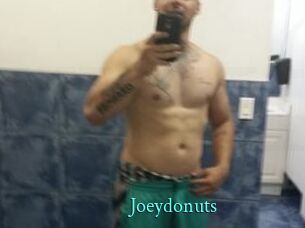 joeydonuts xxx Fantasy Land