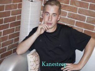 Kanesteep