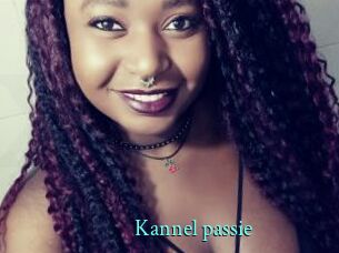 Kannel_passie