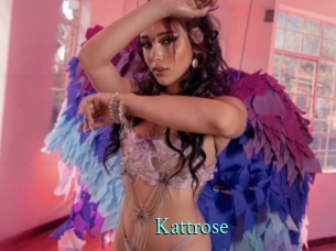 Kattrose