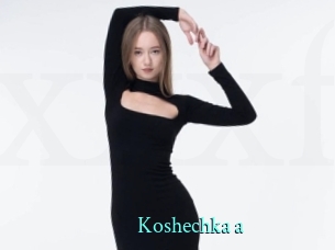 Koshechka_a